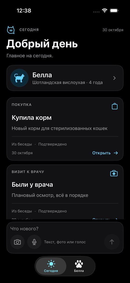 Экран «Сегодня» в тёмной теме: та же история и настройки, без потери контраста