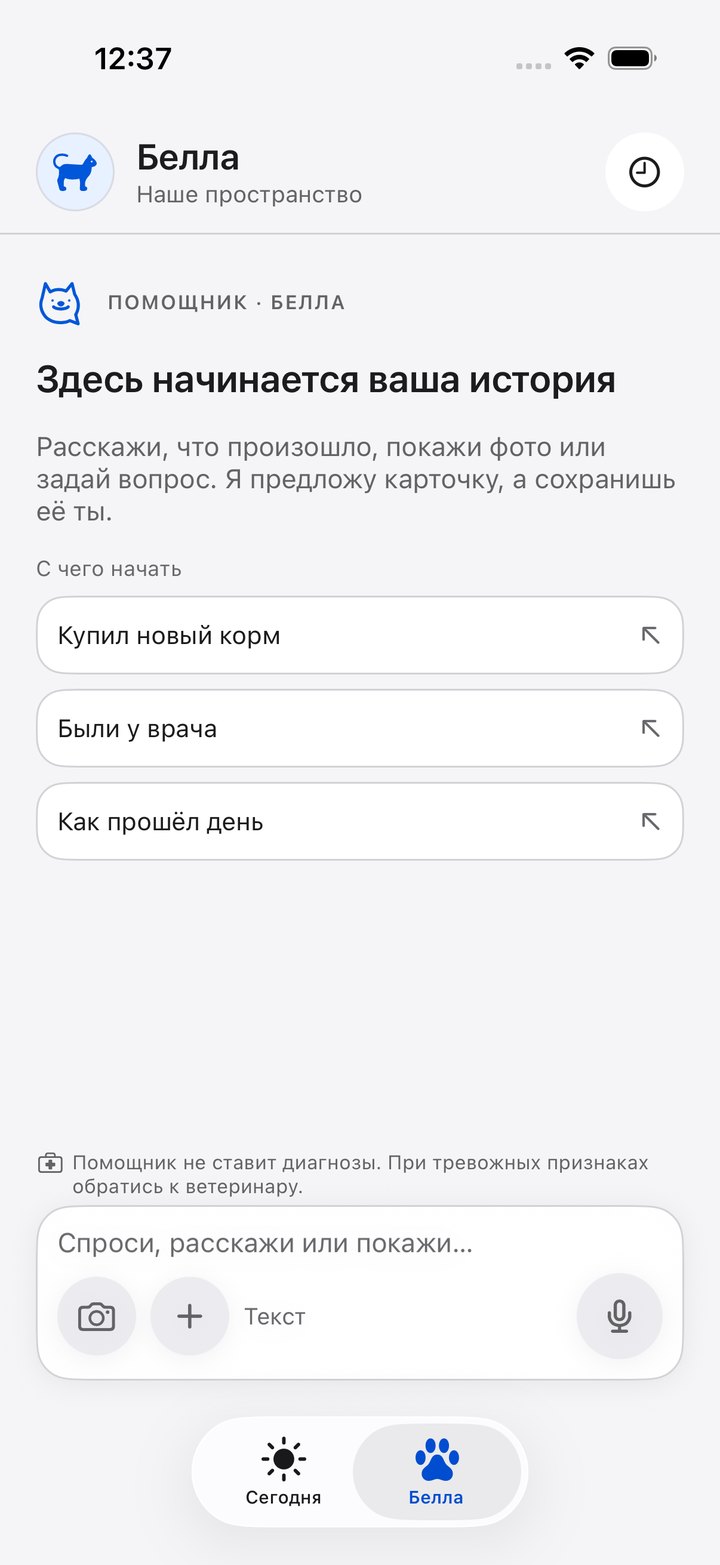 Экран пространства питомца: помощник предлагает начать с простого вопроса