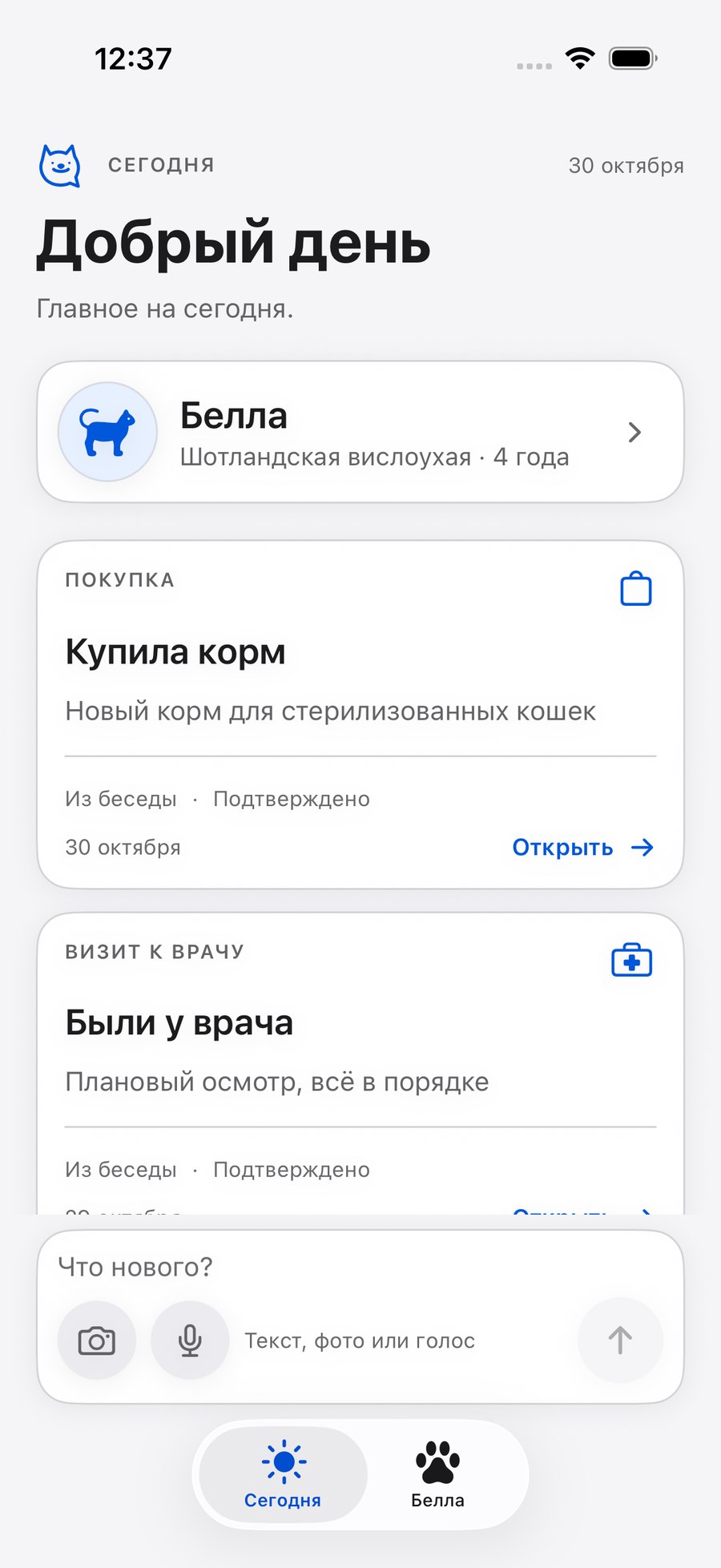 Экран «Сегодня»: карточка кошки Беллы и подтверждённое событие о покупке корма